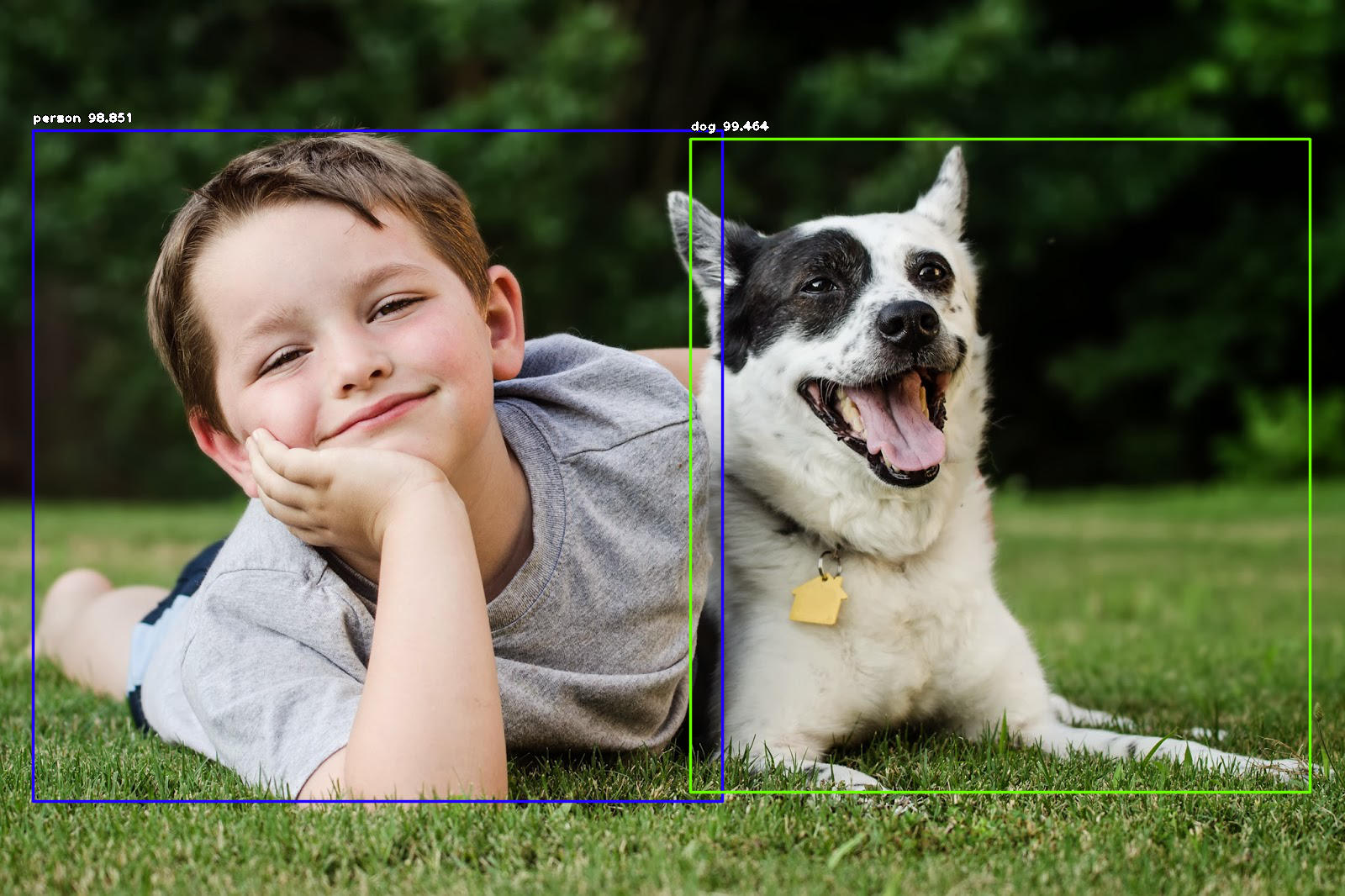 child-dog