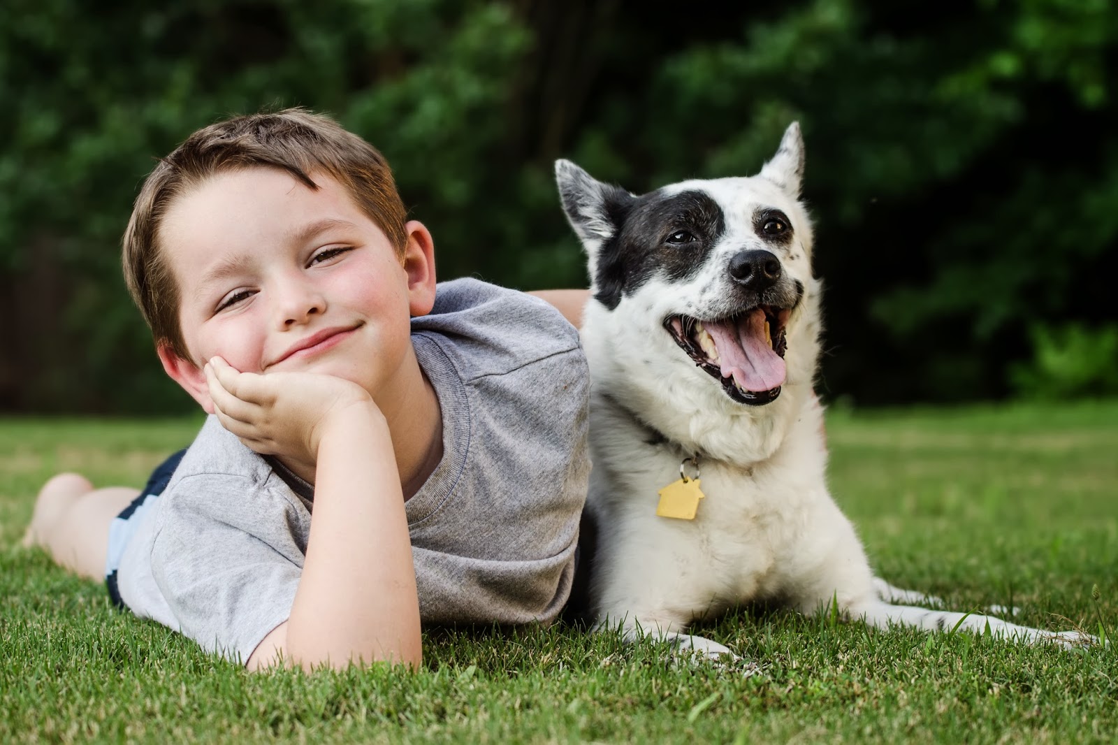 child-dog